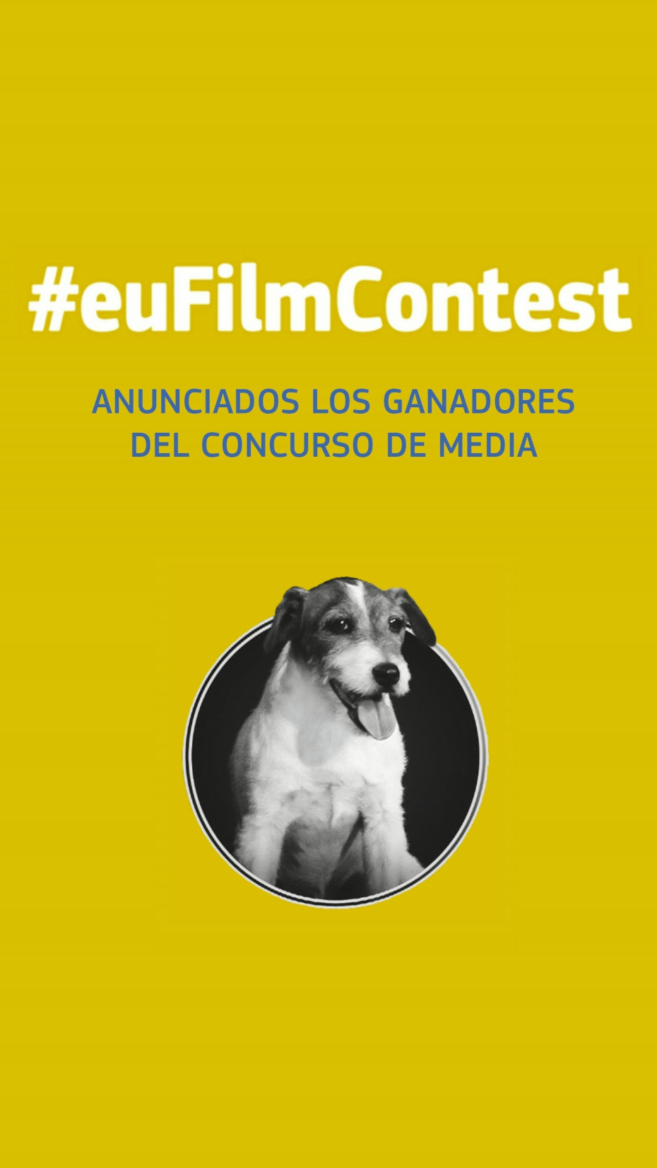 EuFilmContest Ganadores