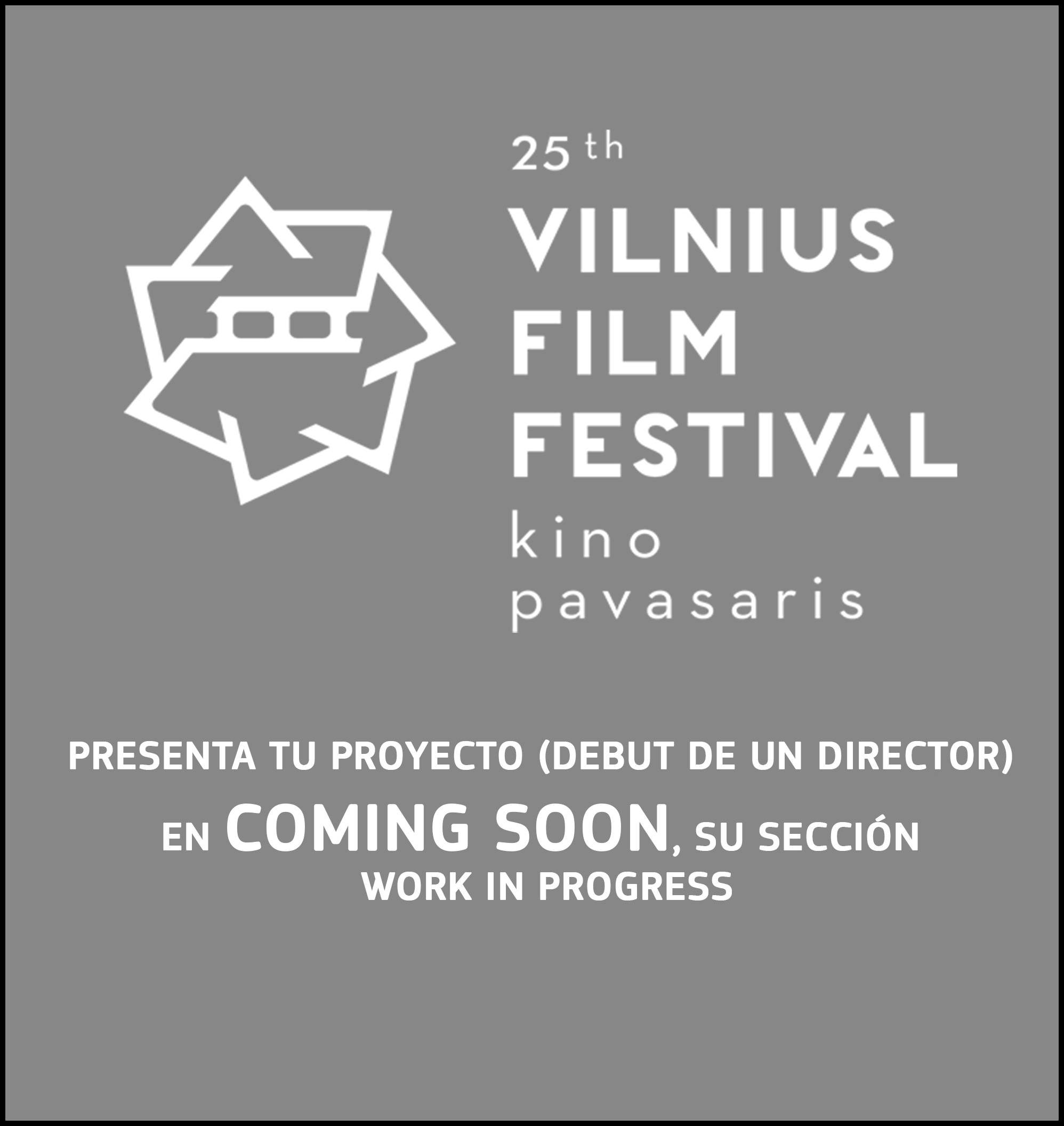 VilniusFilmFestSeccWiPInterior
