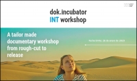 DOK INCUBATOR 2023: Presenta tu proyecto documental en su workshop internacional
