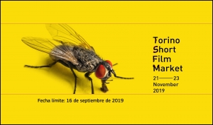 TORINO SHORT FILM MARKET: Abierto el plazo de inscripciones para asistir a su cuarta edición